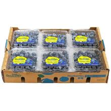 蓝莓 特大果 125g*12盒 单果15-18mm