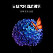 Xiaomi 小米 MI）小米电视85英寸Redmi X85/86远场语音4K 小米电视S85 Mini LED
