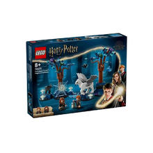 百亿补贴：LEGO 乐高 哈利波特系列 76432 禁林神奇动物