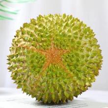 AA级果 马来猫山王-榴莲 4.3斤装 保5房