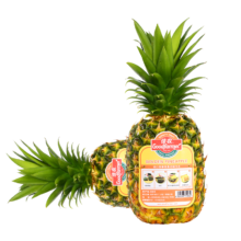 20点开始：佳农 菲律宾进口菠萝 2个装 单果重900g起 新鲜水果礼盒