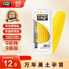 北纬47° 黄糯鲜玉米200g*1穗 低脂玉米棒糯玉米东北玉米粘玉米 尔滨特产 黄糯玉米1穗