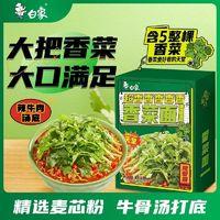 BAIXIANG 白象 香菜面泡面方便面懒人速食拌面绿色蔬菜面饼含香菜正品