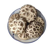 Plus会员：花菇哥 天白大花菇 随州冬菇干货 冬花菇500g-直径6~8cm