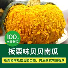 绿行者 贝贝南瓜新鲜板栗味小南瓜