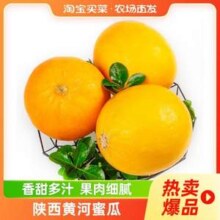 淘宝买菜 陕西黄河蜜瓜 单果500g+ 净重4.5-5斤