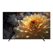 PLUS会员：FPD电视 mini led 50英寸平板电视机 CA50-S1