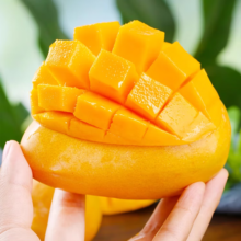 预售品，pLUS会员，庾丰海南小台优选农芒果  10斤（含箱）单果约60g-100g