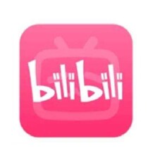 bilibili 哔哩哔哩 超级大会员年卡 B站电视大会员12个月卡