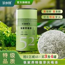 养生茶！金亩园 张家界特级芽尖莓茶60g