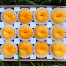 桃中贵族 正宗蒙阴黄毛蟠桃 特大果 5斤装（12-15个）