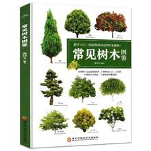 百亿补贴：《常见树木图鉴》