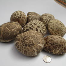 花菇哥 特产香菇普惠款冬花菇500g-直径8~10cm