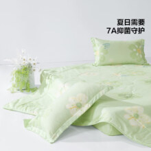 百丽丝水星集团旗下 夏被抗菌印花空调被【清新花卉系列】 150cm×200cm