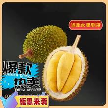 猫山王榴莲 3斤装保4房