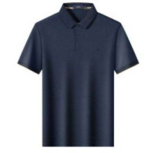 FIRS 杉杉 夏季休闲T恤刺绣短袖Polo衫男  F1113P1S118011