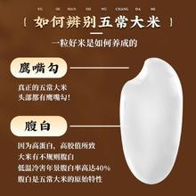 邹有才 东北五常香稻贡米大米10斤新米圆粒米长粒香珍珠贡米