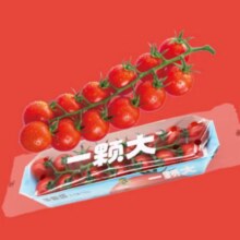 18日20点开始、限2000件、京东百亿补贴：一颗大? 红樱桃番茄 源头直发 串收水果番茄 小西红柿生吃 198g*4盒