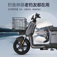 LUYUAN 绿源 48V20Ah大置物篮钓鱼专用电动自行车ZFH送外卖露营拉货电瓶车