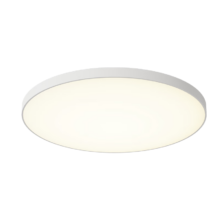 长虹照明三防吸顶灯现代简约led圆形灯]白23cm15w单色白光