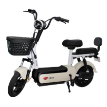 plus会员：ZUB 五星钻豹 A18 电动自行车 TDT013Z