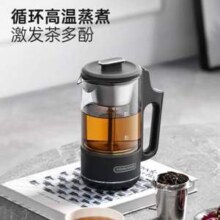 Morphy Richards 摩飞 MR6082 迷你养生壶 500ml