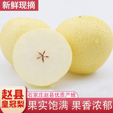 YUANDA 远达 赵县特产皇冠梨带箱5斤
