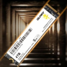 7日0点：GLOWAY 光威 2TB SSD固态硬盘 M.2接口(NVMe协议) PCIe 4.0x4 长江存储颗粒 弈二代系列