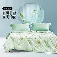 BLISS 百丽丝 100%蚕丝可水洗夏凉被 200cm×230cm