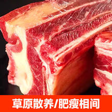 千膳殿 多肉/牛肋排 4斤