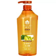 BEE&FLOWER 蜂花 生姜洗发水无硅控油健发洗发露去油丰盈蓬松男女适用改善断发