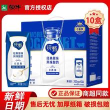 JUST YOGHURT 纯甄 原味酸奶 10盒*200g
