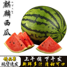 京东百亿补贴、plus会员:晟容果蔬 云南麒麟西瓜 5-6斤装