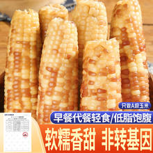 相遇红颜 云南西双版纳香糯小玉米即食新鲜玉米真空装傣小花糯黏甜粘玉米棒 小花糯玉米整箱 2500g 10-15根