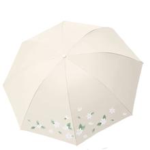 Paradise 天堂伞 遮阳晴雨伞