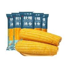 百亿补贴：穗康 糯玉米 6支装