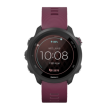 佳明（GARMIN） Forerunner245/255智能手表血氧卫星定位科学训练多功能户外运动 Forerunner255 神秘灰