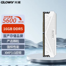 光威（Gloway）16GB DDR5 5600 台式机内存条 天策系列