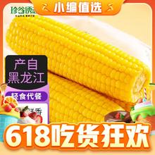 珍谷诱惑 东北黄糯玉米 200g*10支