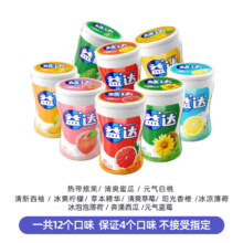 益达 无糖口香糖混合口味 40粒 56g*6瓶
