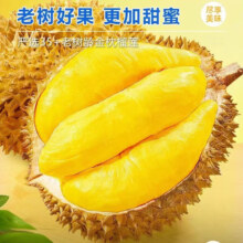 plus会员：绿鲜森 金枕榴莲4-5斤/2个装