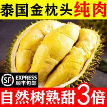 泰国 金枕榴莲肉 1盒*单盒400g
