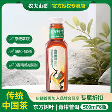 NONGFU SPRING 农夫山泉 东方树叶 500ml无糖茶饮料 0糖0脂0卡路里茉莉花茶青柑普洱 青柑普洱