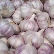 （淘宝买菜）今年紫皮干蒜大蒜头2斤装