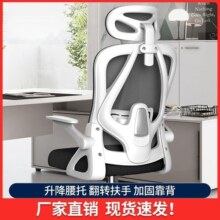 人体工学电脑椅家用座椅书桌学习椅舒适久坐电竞椅办公椅靠背椅子