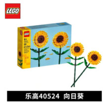 乐高（LEGO）积木 玫瑰花向日葵花束创意IDEAS系列成人粉丝收藏款40524