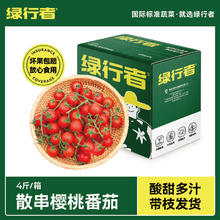 GREER 绿行者 散串樱桃番茄4斤装酸甜生吃西红柿子零食水果非圣女果