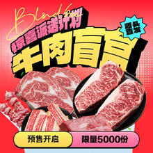 肴西来 牛肉盲盒2.5kg+ 澳洲M9和牛牛排隐藏款 源头直发包邮