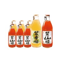 HOPE WATER 好望水 气泡水果汁 300ml*6瓶