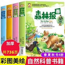 森林报春夏秋冬全4册正版加厚彩图版小学生课外阅读四年级儿童读物书籍